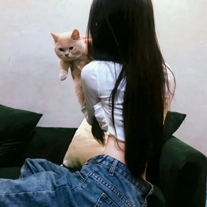 猪猪侠·不可思议的世界